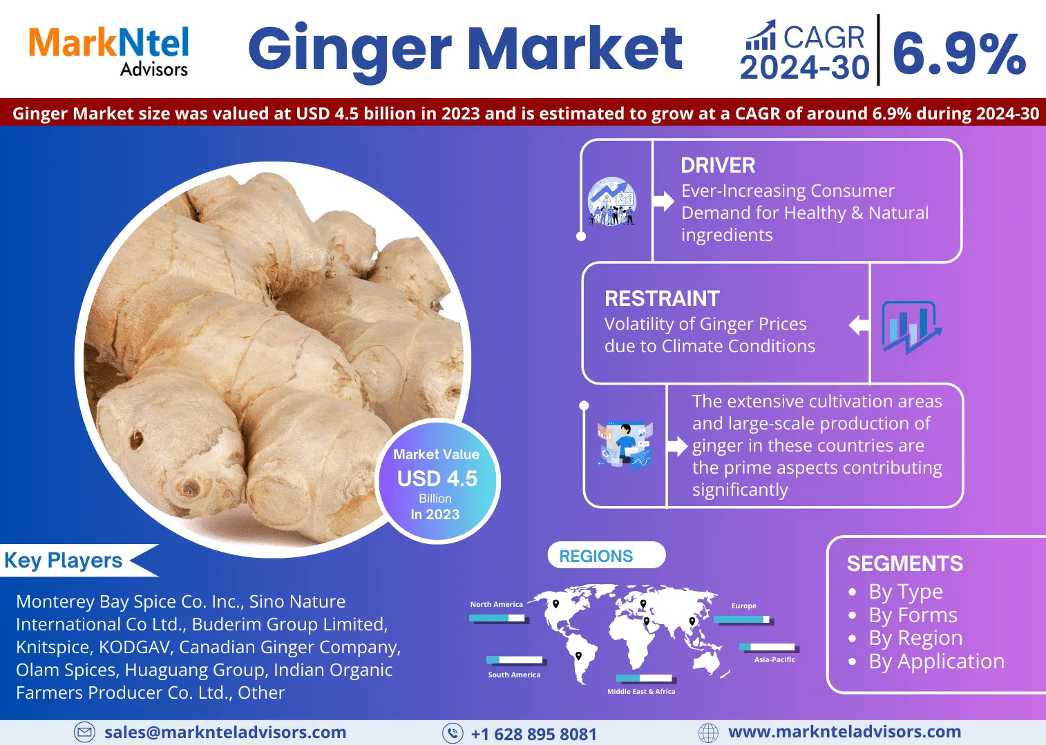 Ginger Market