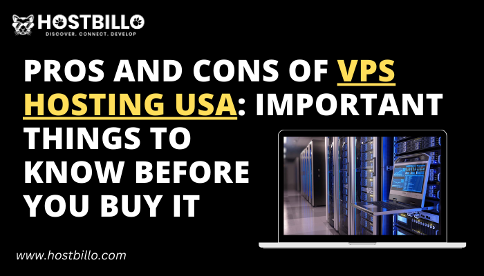 Pros and Cons of VPS Hosting USA: Things To Know Before