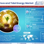 GCC Digital Transformation Market Size, Share & Growth Analysis, [2030]