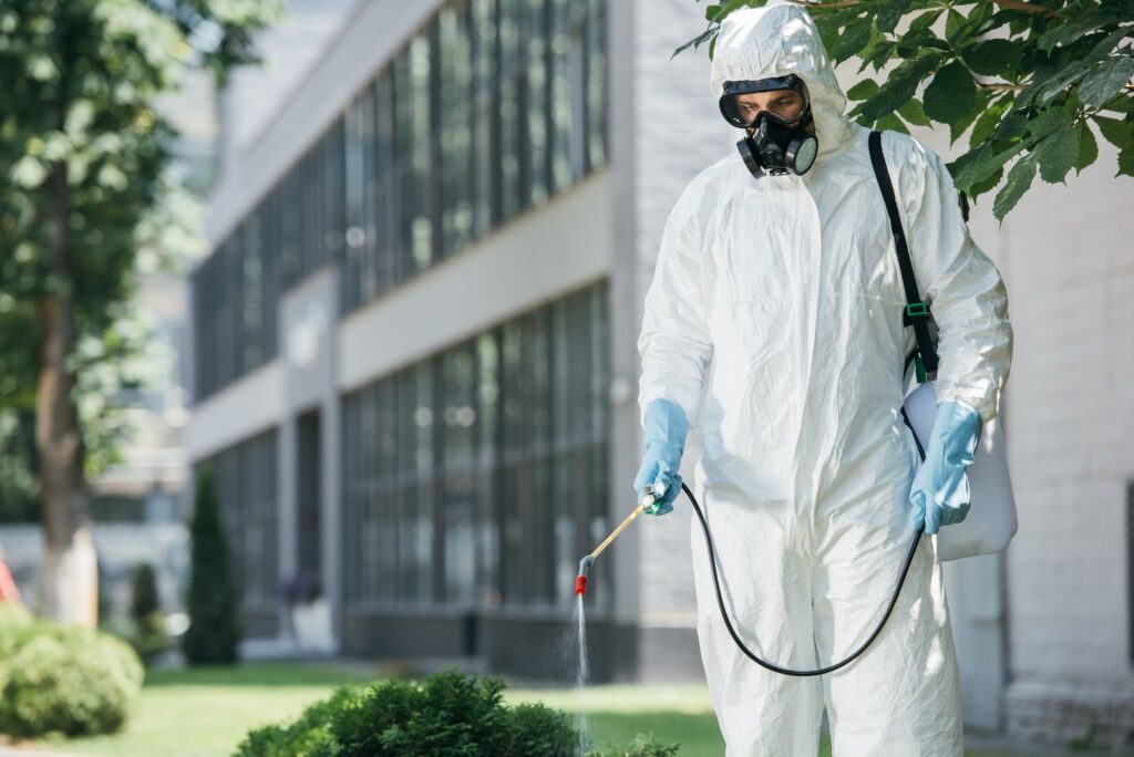 Pest Control Lahore and Guide Pest Control Near Me