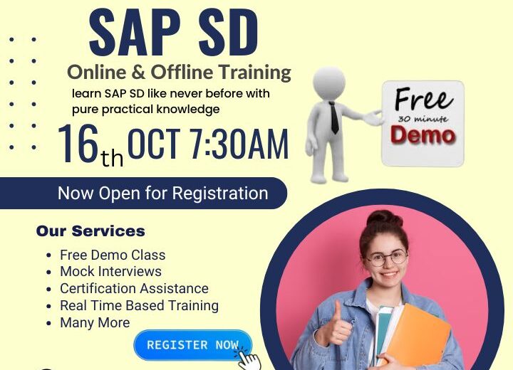 https://www.versionit.org/sap-sd-training-in-hyderabad.html