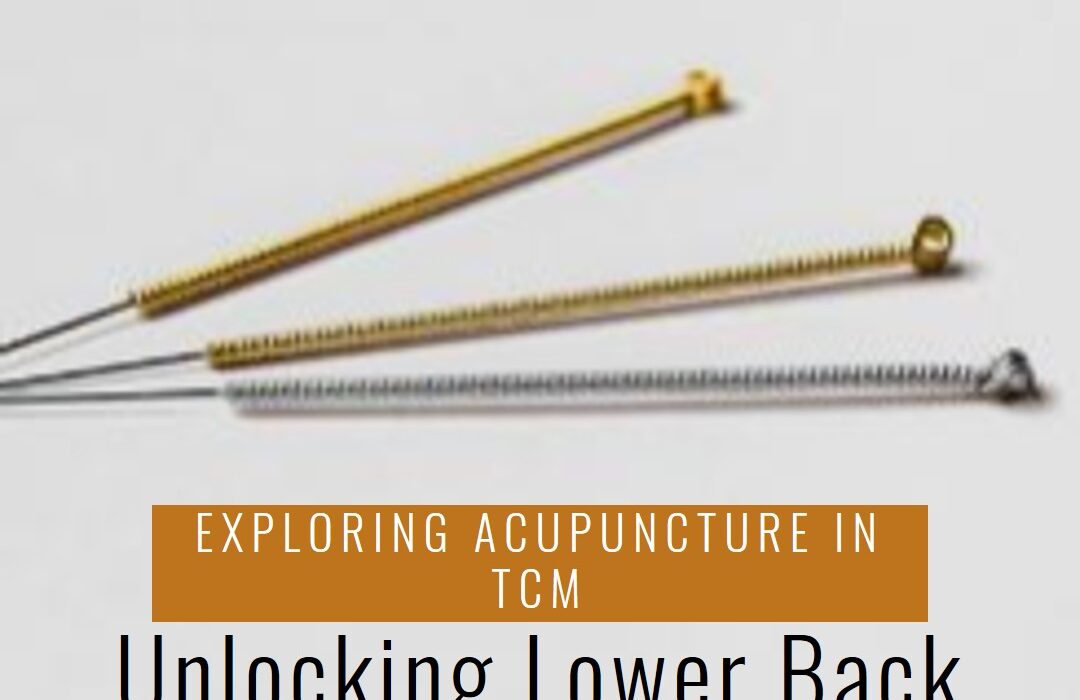 acupuncture points for lower back pain