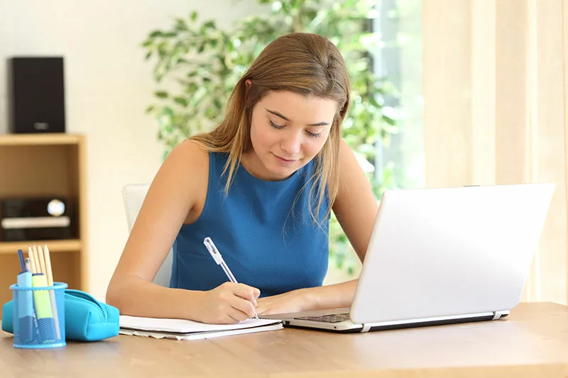 Essay Writing Services