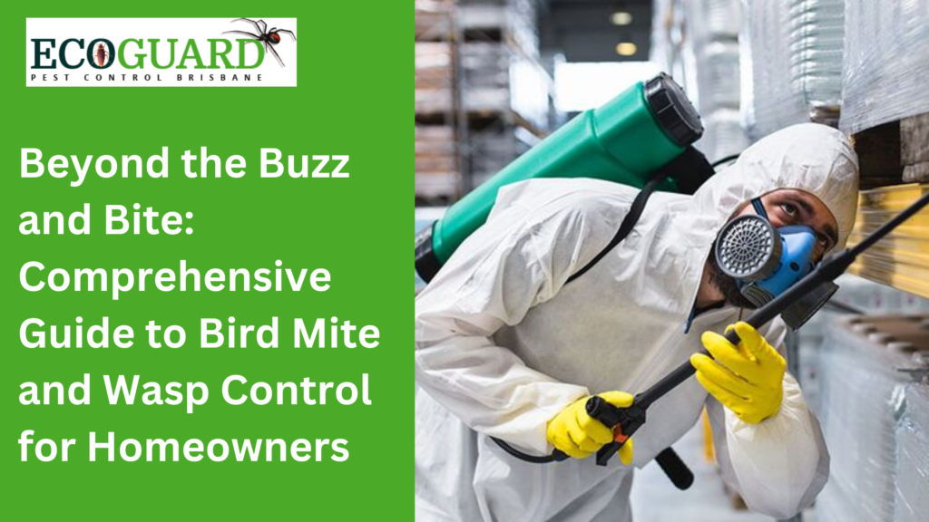 Beyond the Buzz and Bite: Comprehensive Guide to Bird Mite and Wasp Control for Homeowners