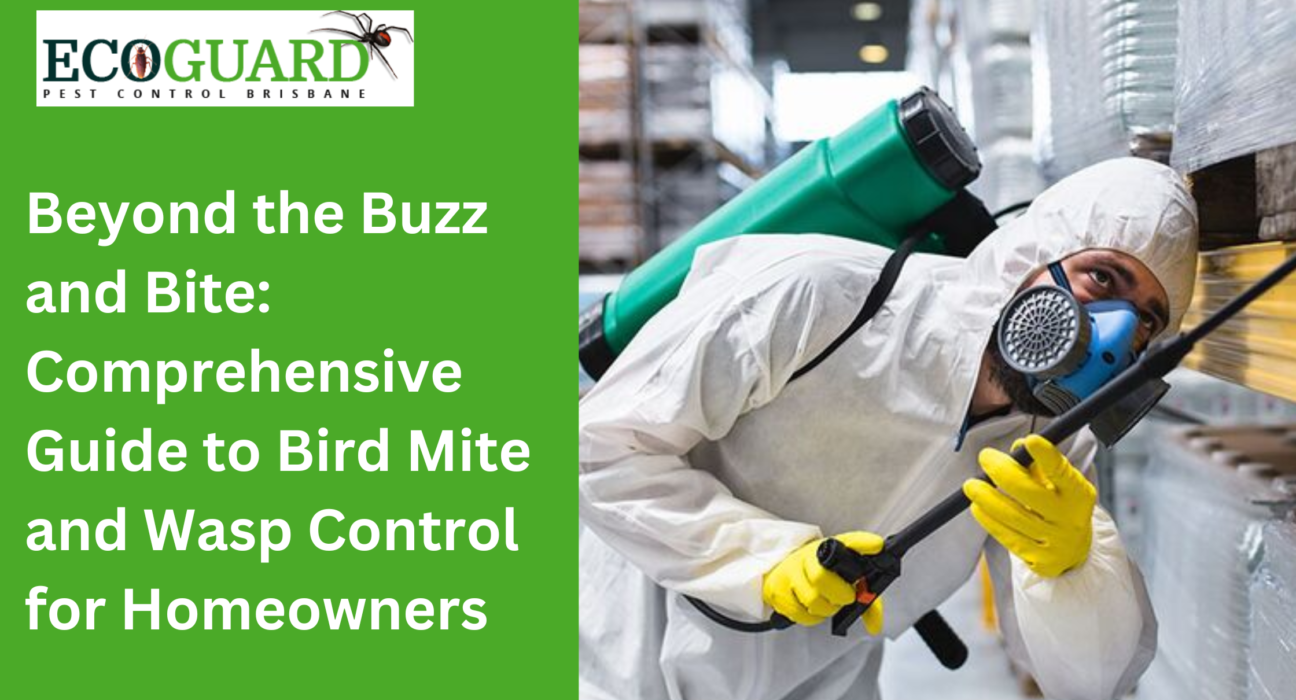 Beyond the Buzz and Bite: Comprehensive Guide to Bird Mite and Wasp Control for Homeowners